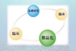 パワーフコイダンとは