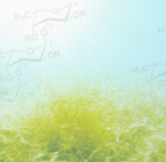 フコイダンとは