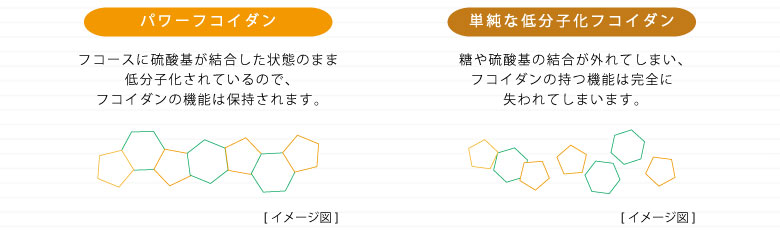 パワーフコイダン研究実績への取り組み