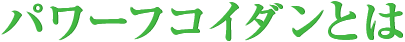 パワーフコイダンとは