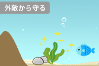 フコイダンが外敵から守る