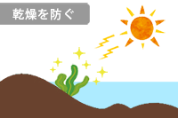 フコイダンが乾燥を防ぐ