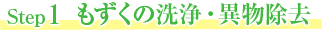 step1 もずくの洗浄・異物除去