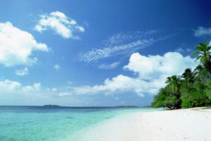 天然モズクが自生するトンガ王国の美しい海